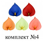 Калла Элит, 12см  Калла элит изображение 7