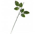 Нога 1-ка букетная с листом розы, 45см  Н-01 изображение 1