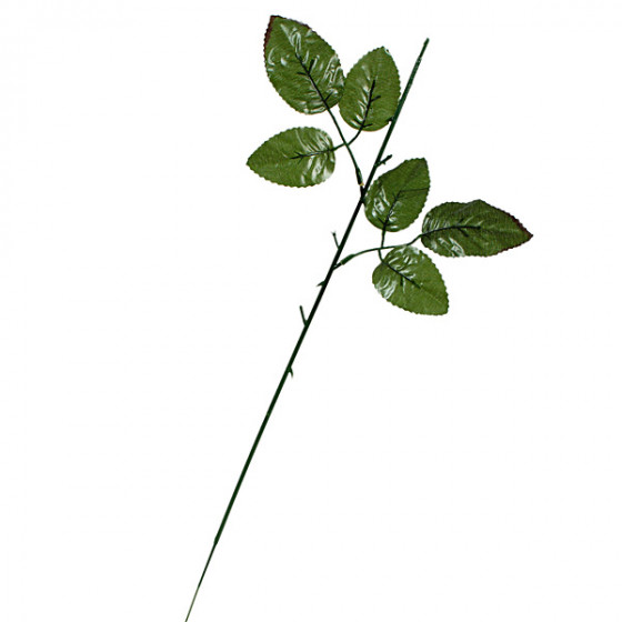 Нога 1-ка букетная с листом розы, 45см  Н-01 изображение 3