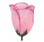 Искусственный Бутон розы шелк, 8,5см  БхбК изображение 29