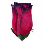 Искусственный Бутон розы шелк, 8,5см  БхбК изображение 35