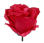 Искусственный Бутон розы раскрытый, 9см  Б изображение 7