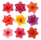 Искусственные цветы букет Астра, 44см  9207 изображение 3