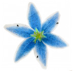 Искусственная Лилия веснушки, 15см  Л Веснуш изображение 3