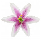 Искусственная Лилия веснушки, 15см  Л Веснуш изображение 9