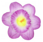 Нарцисс большой шелк, 15см  П-78 изображение 7