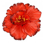Штучні квіти букет гібіскуса 8-ка, 44см 0166/1 зображення 4