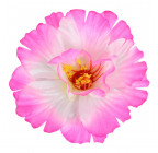 Штучні квіти букет гібіскуса 8-ка, 44см 0166/1 зображення 5