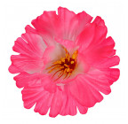 Искусственные цветы букет гибискуса 8-ка, 44см  0166/1 изображение 6