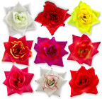 Искусственные цветы букет розы Калина красная, 57см  1025 изображение 2