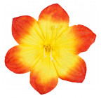 Искусственные цветы букет ландыш, 35см  0Д-22 изображение 2