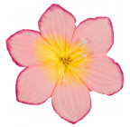 Искусственные цветы букет ландыш, 35см  0Д-22 изображение 6