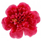 Искусственные цветы букет мальва махровая, 50см  857 изображение 4