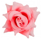 Троянда нарядна, 13см РсК зображення 2