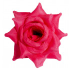 Роза нарядная, 13см  РсК изображение 15