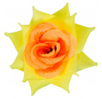 Троянда нарядна, 13см РсК зображення 21