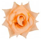 Троянда нарядна, 13см РсК зображення 30