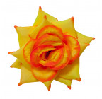 Роза нарядная, 13см  РсК изображение 4