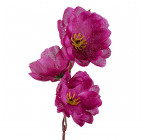 Искусственные цветы букет сакуры, 40см  1009 изображение 4