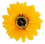 Искусственные цветы букет подсолнухов, 34см  759 изображение 3