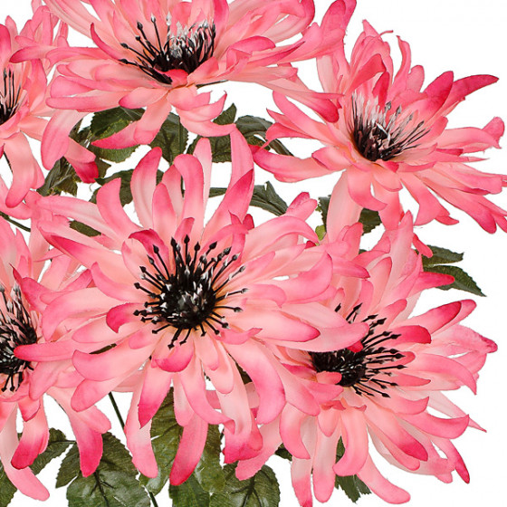 Искусственные цветы букет хризантем, 50см  8030 изображение 4