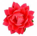 Искусственные цветы букет атласных лотосов VIP, 51см  112 изображение 4