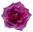 Искусственная Роза крупная атлас, 15см   Р-69к изображение 14