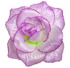 Искусственная Роза крупная атлас, 15см   Р-69к изображение 23