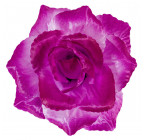 Искусственная Роза крупная атлас, 15см   Р-69к изображение 25