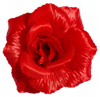 Искусственная Роза крупная атлас, 15см   Р-69к изображение 27