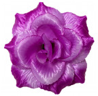 Искусственная Роза крупная атлас, 15см   Р-69к изображение 38