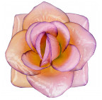 Искусственная Роза крупная атлас, 15см   Р-69к изображение 7