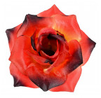 Искусственная Роза магия, 11см  Р-26 изображение 2