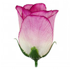 Искусственные цветы букет бутонов роз, 60см  777 изображение 3