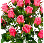 Искусственные цветы букет бутонов роз Римма, 69см  110 изображение 2
