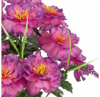 Искусственные цветы букет пионов с усиками, 50см  0100 изображение 2
