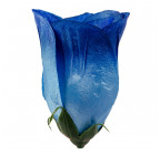 Искусственный Бутон розы атлас, 8,5см  БаК изображение 13