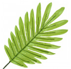 Лист искусственной пальмы зеленый, 41см  Лист 303 изображение 1
