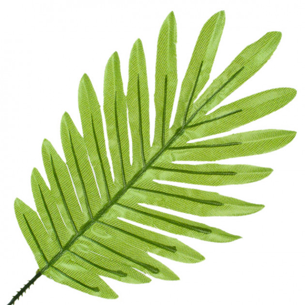 Лист искусственной пальмы зеленый, 41см  Лист 303 изображение 2209