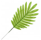 Лист искусственной пальмы зеленый, 41см  Лист 303 изображение 2