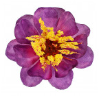 Искусственные цветы букет хризантем, 44см  0193 изображение 3