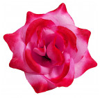 Искусственная Роза средняя шёлк, 10см  РхбК изображение 16
