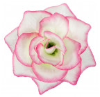 Искусственная Роза средняя шёлк, 10см  РхбК изображение 28
