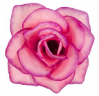 Искусственная Роза средняя шёлк, 10см  РхбК изображение 29