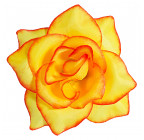 Искусственная Роза средняя шёлк, 10см  РхбК изображение 8