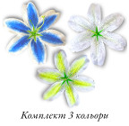 Лілія велика плямиста, 19см  ЛилП зображення 4