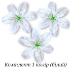 Лілія велика плямиста, 19см  ЛилП зображення 7