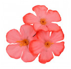Искусственные цветы букет фиалок бордюрных, 23см  861 изображение 6