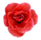Искусственные цветы букет роз в розетке, 19см  863 изображение 8