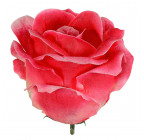 Искусственные цветы букет роз с калиной, 57см  111 изображение 9